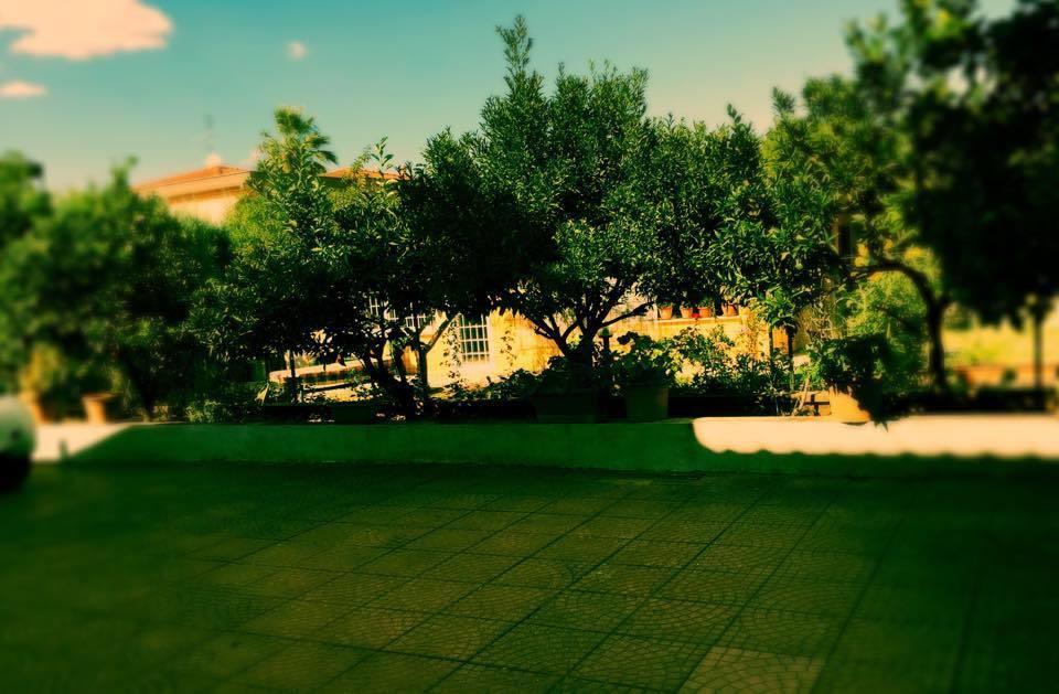 Villa Aurora Morena Zewnętrze zdjęcie
